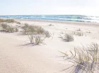 Plaże w Kołobrzegu i Grzybowie są szerokie i zachęcają do spacerów