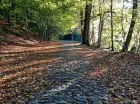 Jesienią Mazury zachęcają do spacerów wśród różnokolorowych drzew