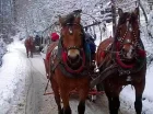 Zimą w Beskidach są organizowane świetne kuligi