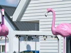 Wizytówką nowoczesnego pensjonatu jest para flamingów