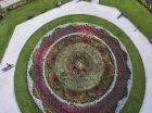Atrakcje okolicy: dywany kwiatowe