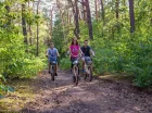 Okoliczne sosnowe lasy są doskonałym miejscem na rowerowe wyprawy