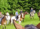 Hotel organizuje z ośrodkiem jeździeckim konne wycieczki po Bieszczadach