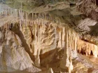 Atrakcje okolicy: Jaskinia Niedźwiedzia w Kletnie