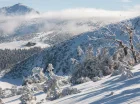 Karkonosze i Śnieżka to popularny kierunek zimowych wycieczek