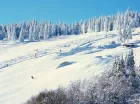 Hotel jest położony blisko ośrodka narciarskiego w Zieleńcu