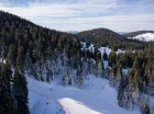 W okolicy jest ponad 10 km tras narciarskich i świetne warunki na skitury