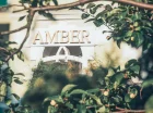 Dom Zdrojowy Amber zaprasza na wypoczynek w Świnoujściu