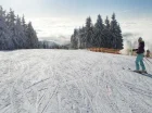 W Rziczkach zimą funkcjonuje ośrodek narciarski z wyciągiem krzesełkowym