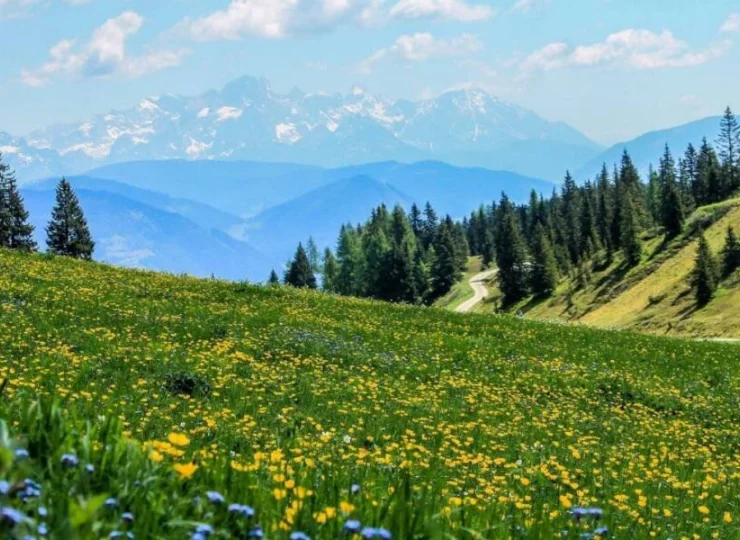 Krajobrazy i przyroda Polanicy-Zdroju są imponujące