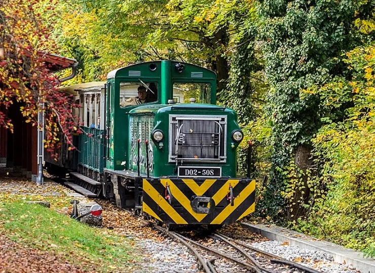 Przystanek leśnej kolejki wąskotorowej jest tylko 5 min od hotelu