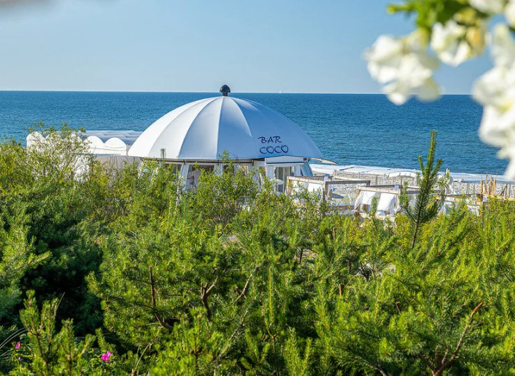 Hotel jest zanurzony w odprężającej zieleni