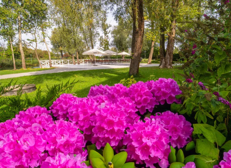 Hotel jest otoczony bujnym, zadbanym ogrodem