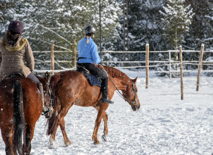 W Wierzbowym Ranczo można skorzystać z lekcji jazdy konnej