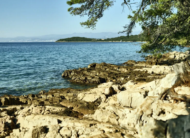 Znajdziecie tutaj naturalne zejścia do wody