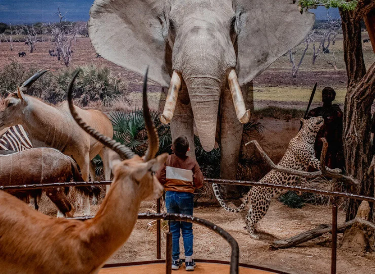 Tym muzeum będą zachwycone zwłaszcza dzieci