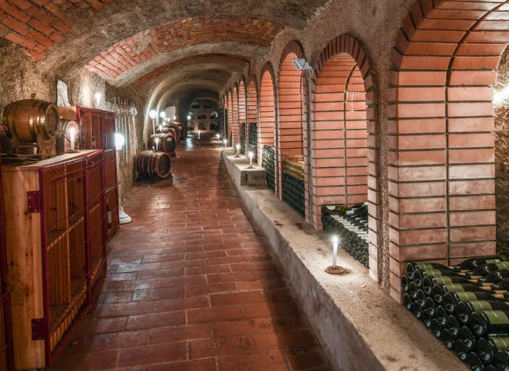 Pod budynkiem znajdują się piwnice z Muzeum Wina