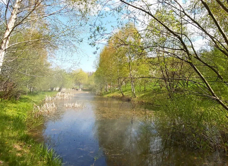 Nieopodal płynie rzeka Staříč