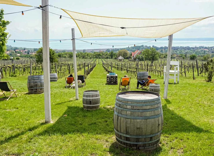 Okolica słynie z winnic i doskonałych warunków do wypoczynku