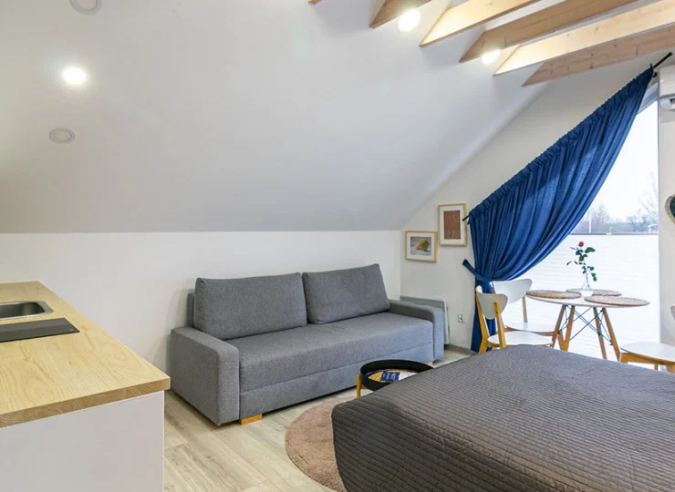 Apartament Przestronny