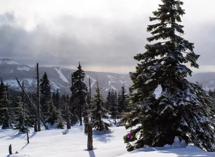 Szlaki Sudetów można przemierzać także zimą
