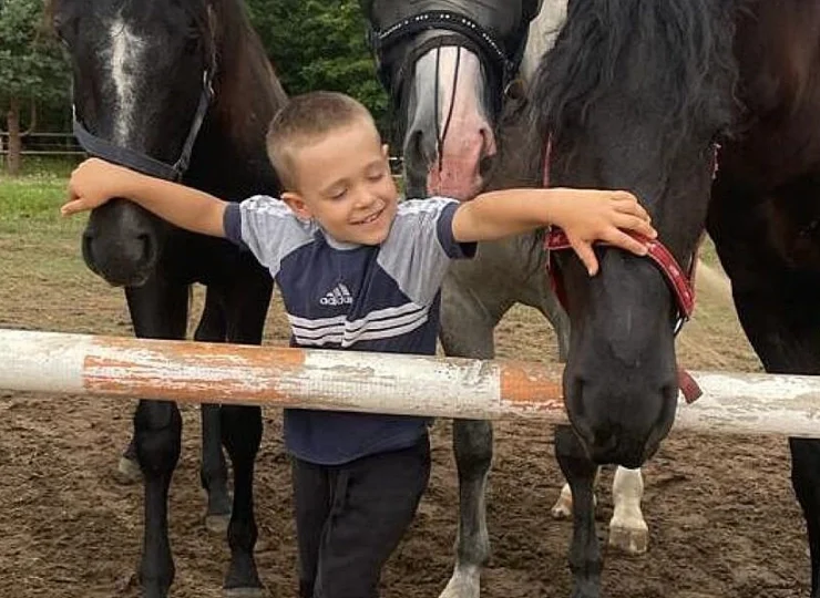 Można tu pojeździć i nacieszyć się obecnością tych pięknych zwierząt