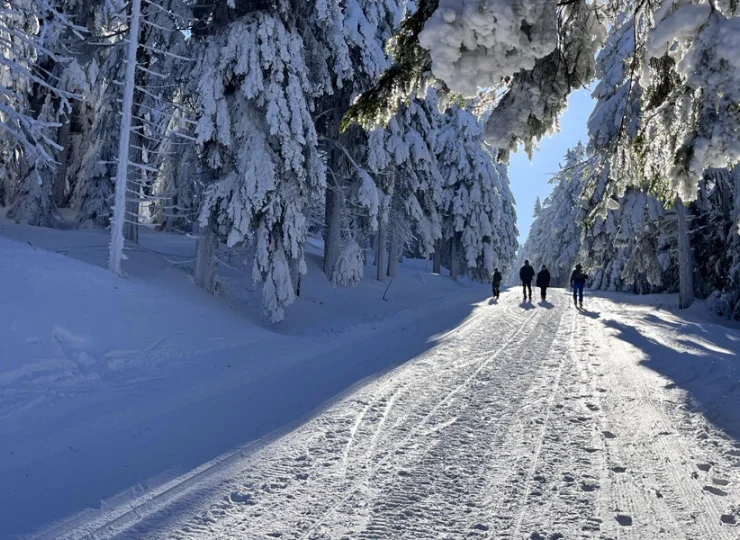 Zimą okolica hotelu staje się wprost magiczna
