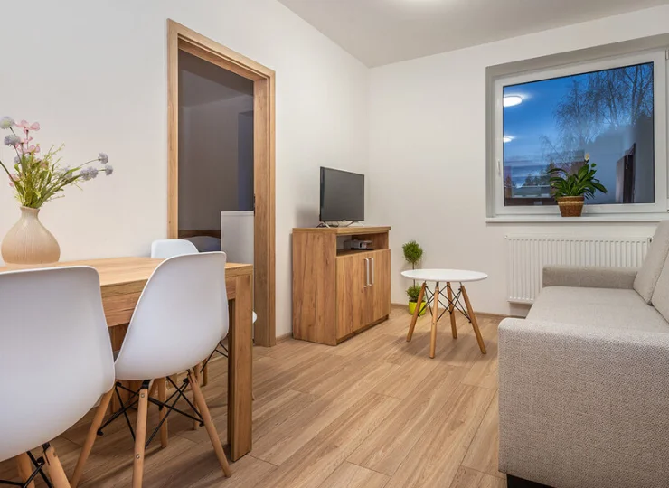 Salon apartamentu 2+3