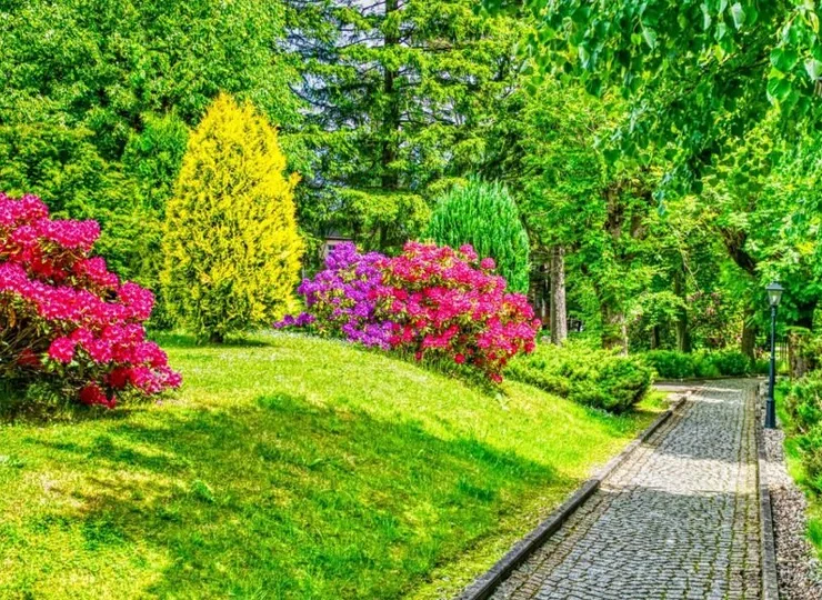 Zadbany, wypielęgnowany ogród jest kolejną zaletą St. Lukasa