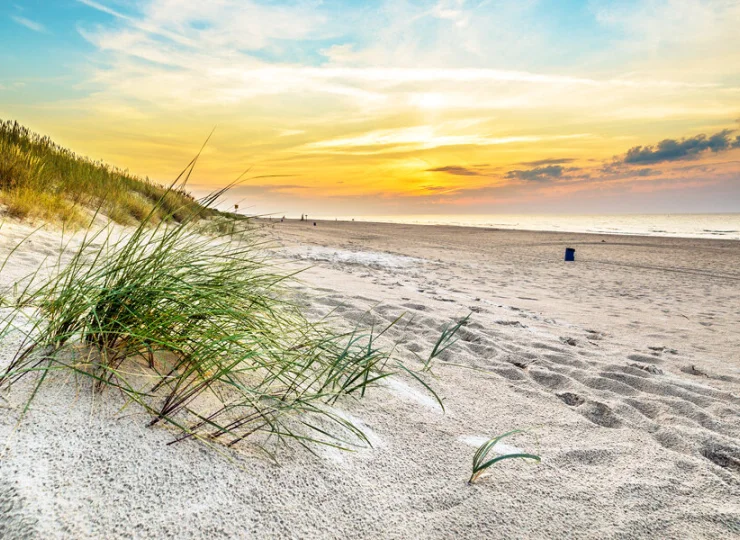 Forest Family Resort Ustka znajduje się tuż przy plaży i wydmie