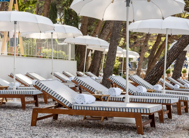 Strefa leżaków pośród nadmorskich sosen