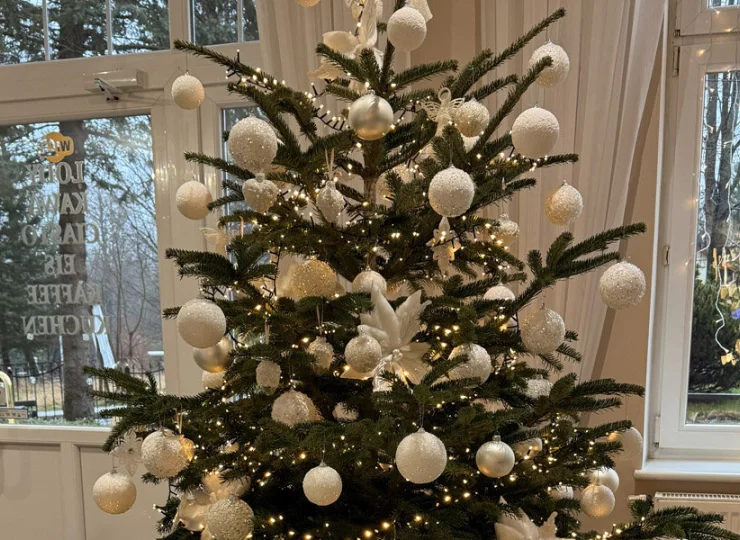 W Magnolii powita Was udekorowana choinka