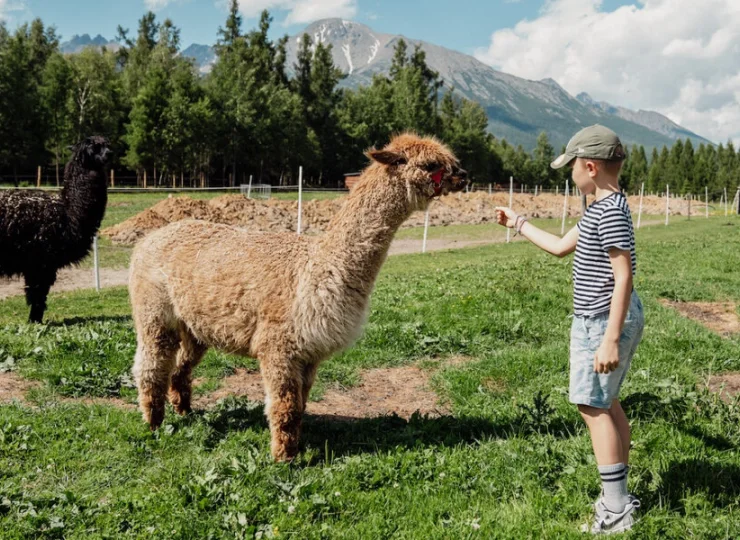 Z farmy widać Tatry