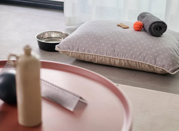 Na psa czeka tu specjalny zestaw powitalny