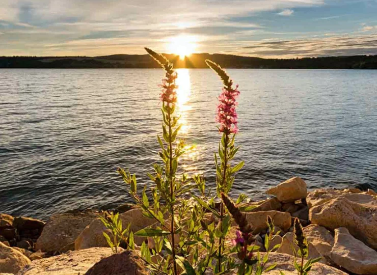 Hotel mieści się nad brzegiem jednego z najczystszych akwenów wodnych Słowacji