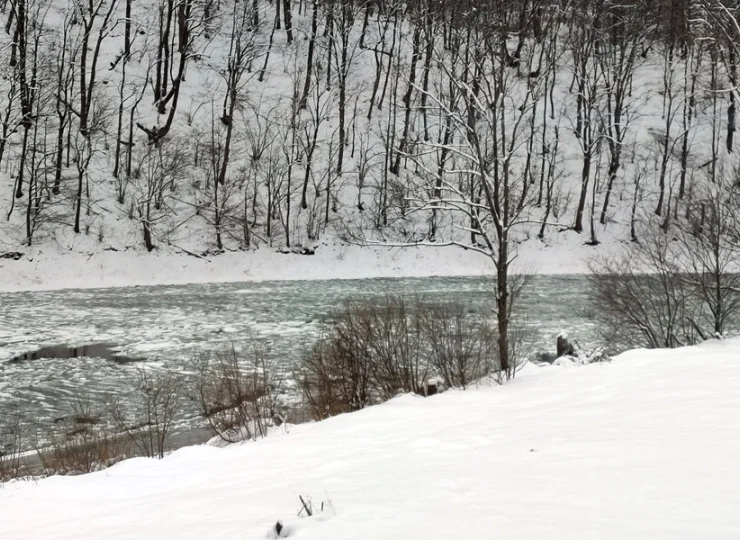 W Bieszczadach zobaczysz prawdziwą zimę