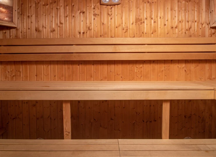  Do dyspozycji gości jest także sauna sucha