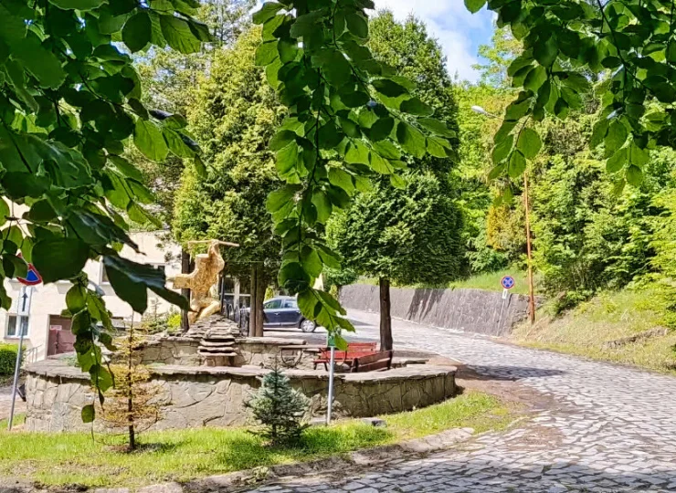 Ośrodek jest skąpany w przyjemnej zieleni