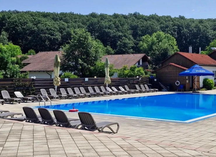 Zewnętrzny basen jest świetnym miejscem na relaks w zielonym otoczeniu