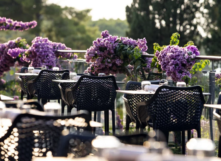 Daj się unieść zapachom śródziemnomorskiego ogrodu