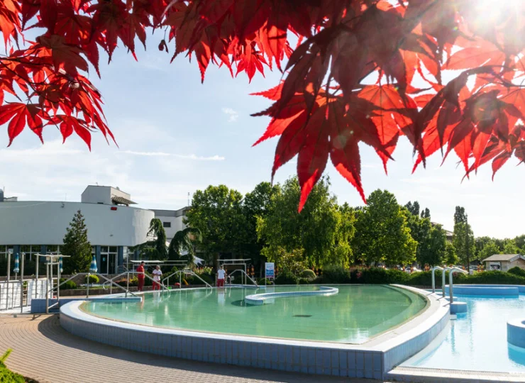 To prawdziwa oaza komfortu idealna na jesienny relaks w basenach termalnych