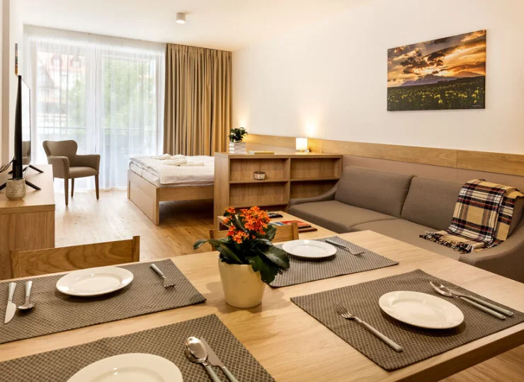 Apartament typu studio to wielofunkcyjna przestrzeń
