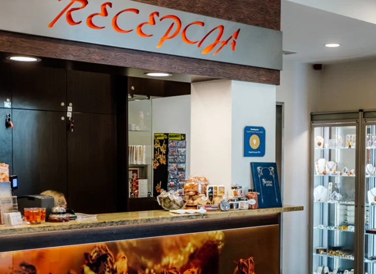 Recepcja działa przez całą dobę, w hotelu zainstalowano także windę