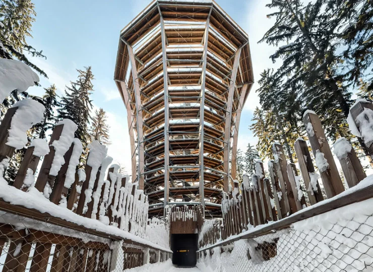Ścieżka w koronach drzew w Jańskich Łaźniach jest dużą atrakcją okolicy
