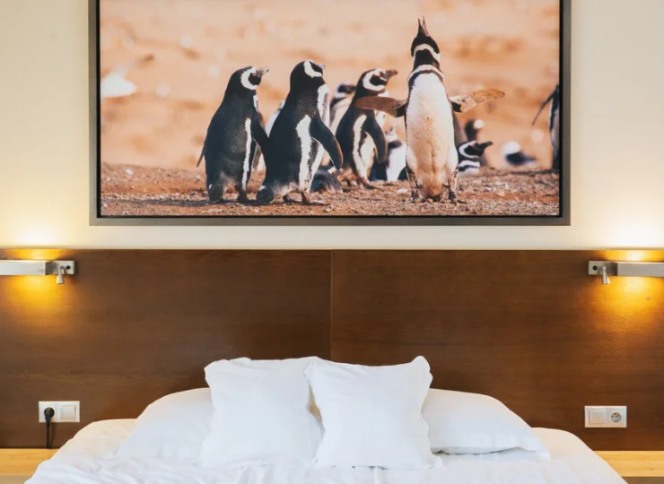 Pingwiny są znakiem rozpoznawczym hotelu