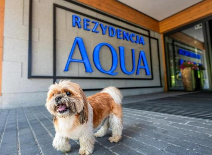 Rezydencja Aqua to apartamenty przyjazne zwierzętom w Szklarskiej Porębie