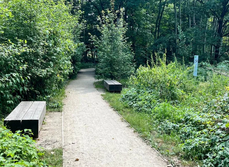 Park rzeczny Wilga to miejsce do spaceru i relaksu w centrum Krakowa