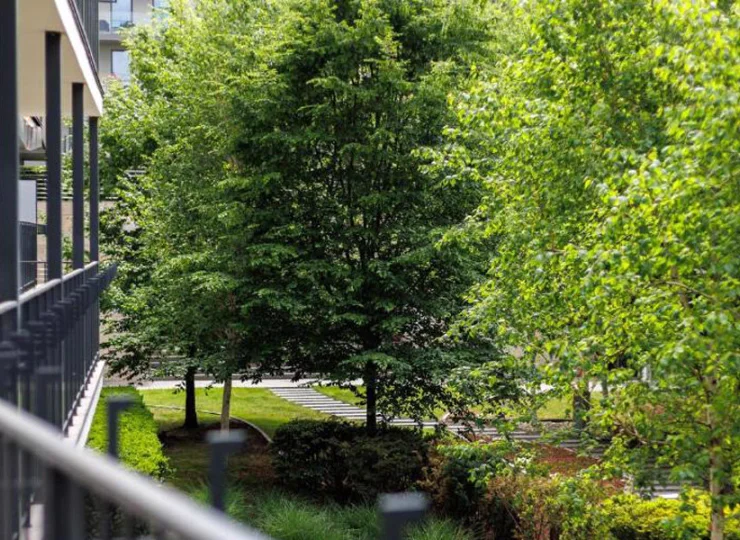 W apartamentach jest zacisznie i spokojnie
