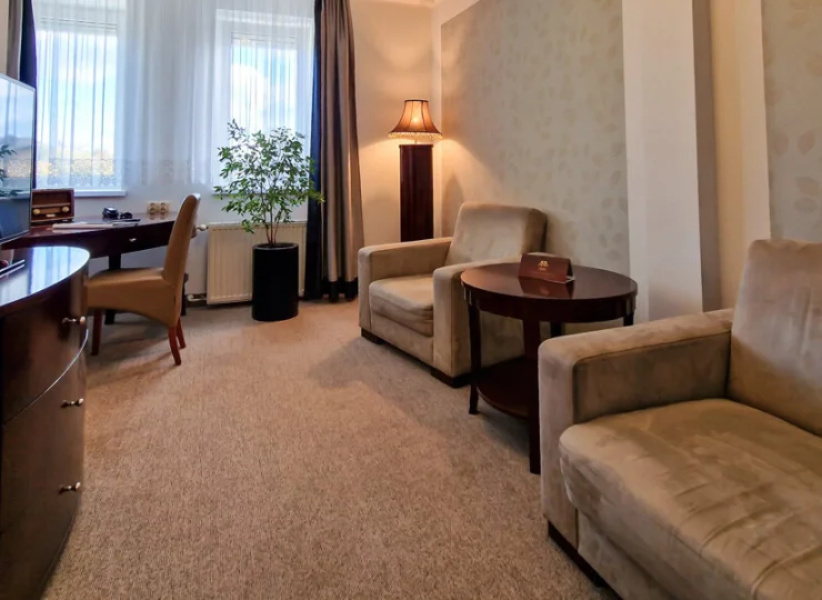 Pokój dzienny mniejszego apartamentu