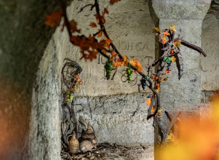 Piwnica pochodzi jeszcze z XVIII wieku!